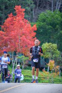 BIB: 2005
                            <button type="button" onclick="openModal(19241077)" class="btn btn-primary btn-sm float-right btn-popup" data-toggle="modal" data-target=".modal-high-quality">
                        <i class="fas fa-shopping-cart"></i> Add to Cart
                    </button>
                                            <button type="button" onclick="isThisMe(19241077, true)" class="btn btn-success btn-sm float-right btn-popup btn-isme hidden" data-toggle="tooltip" data-placement="bottom" title="นี่คือรูปของคุณใช่ไหม คลิกที่นี่เพื่อเอาเข้าอัลบั้ม">
                        <i class="fas fa-plus"></i> Add to album
                    </button>
                    <button type="button" onclick="isThisMe(19241077, false)" class="btn btn-warning btn-sm float-right btn-popup btn-isnotme hidden">
                        <i class="fas fa-ban"></i> Remove from album
                    </button>